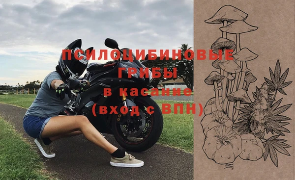 твердый Дегтярск