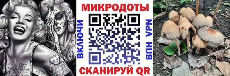 OMG ссылка  Киселёвск  Псилоцибиновые грибы GOLDEN TEACHER 